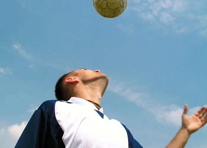 Park Plaza Belvedere 4*