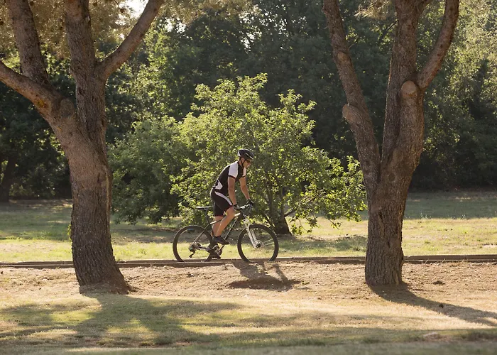 Park Plaza Belvedere